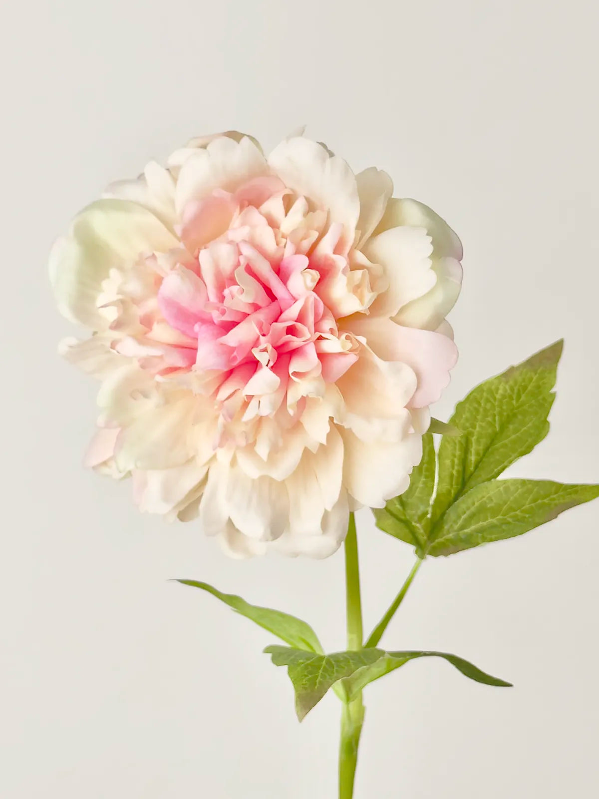 Real Touch Faux Peony, Blush Pink