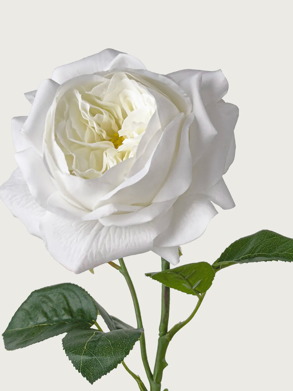 Real Touch Faux Juliet Rose, White