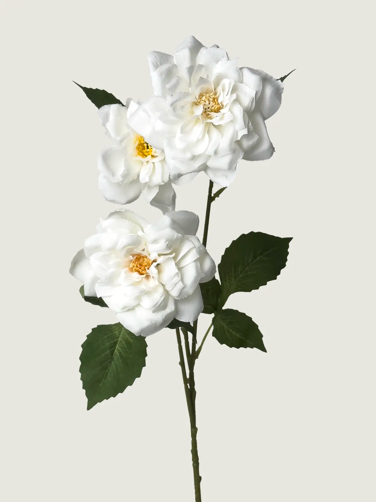 Faux Queen’s Curled Rose, White