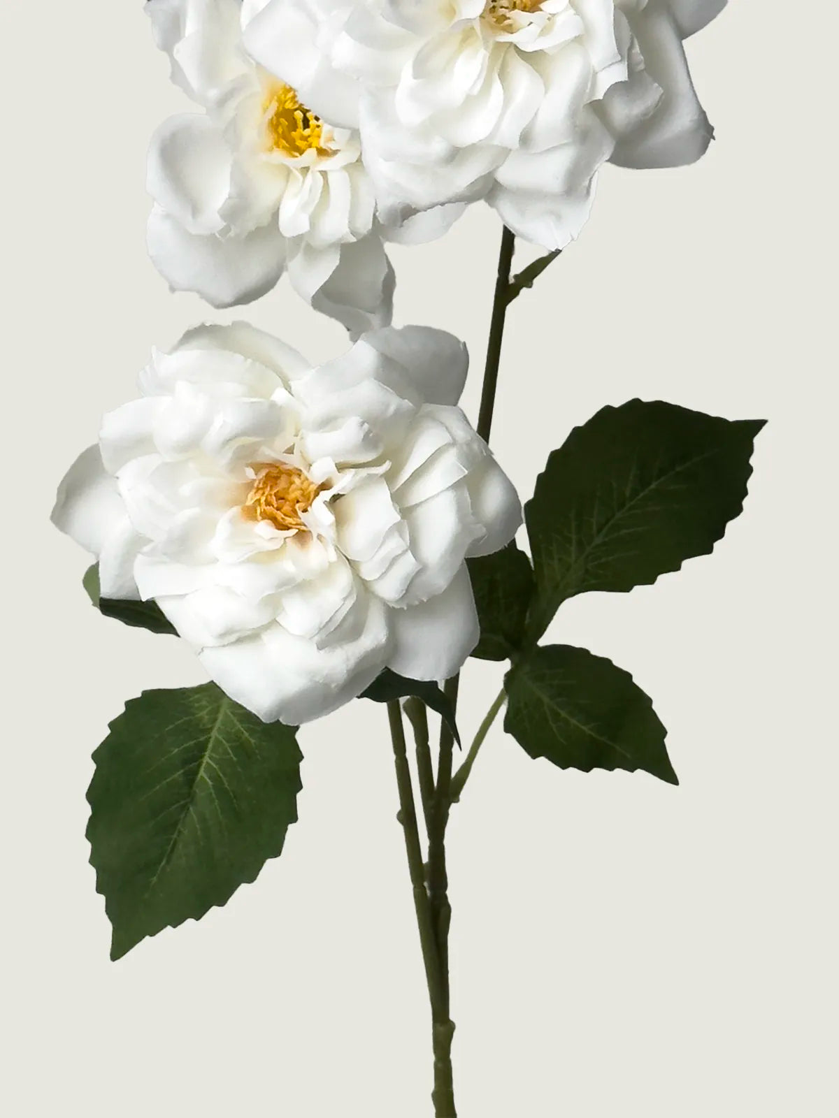 Faux Queen’s Curled Rose, White