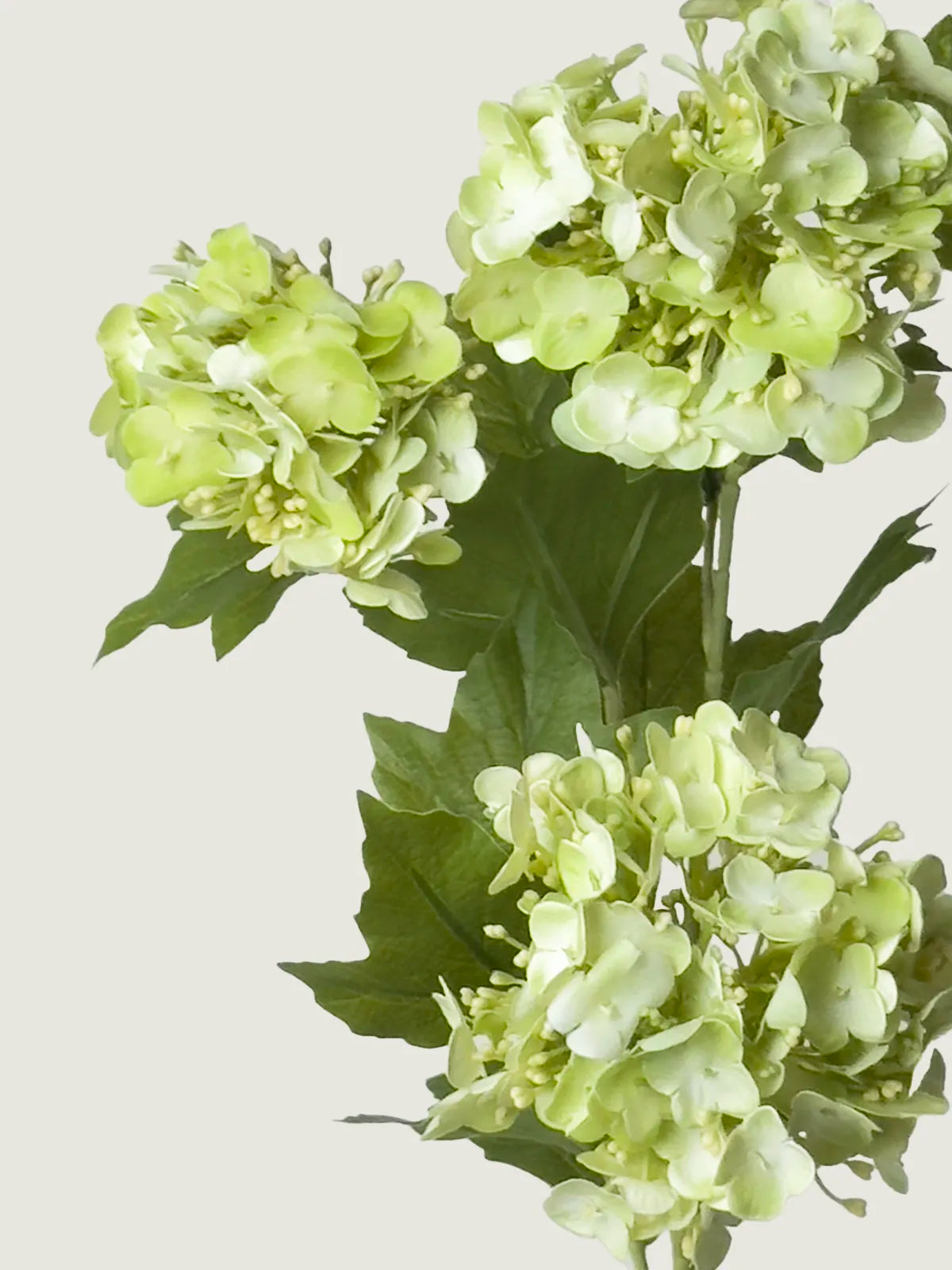 Real Touch Faux Snowball Hydrangea, Light Green