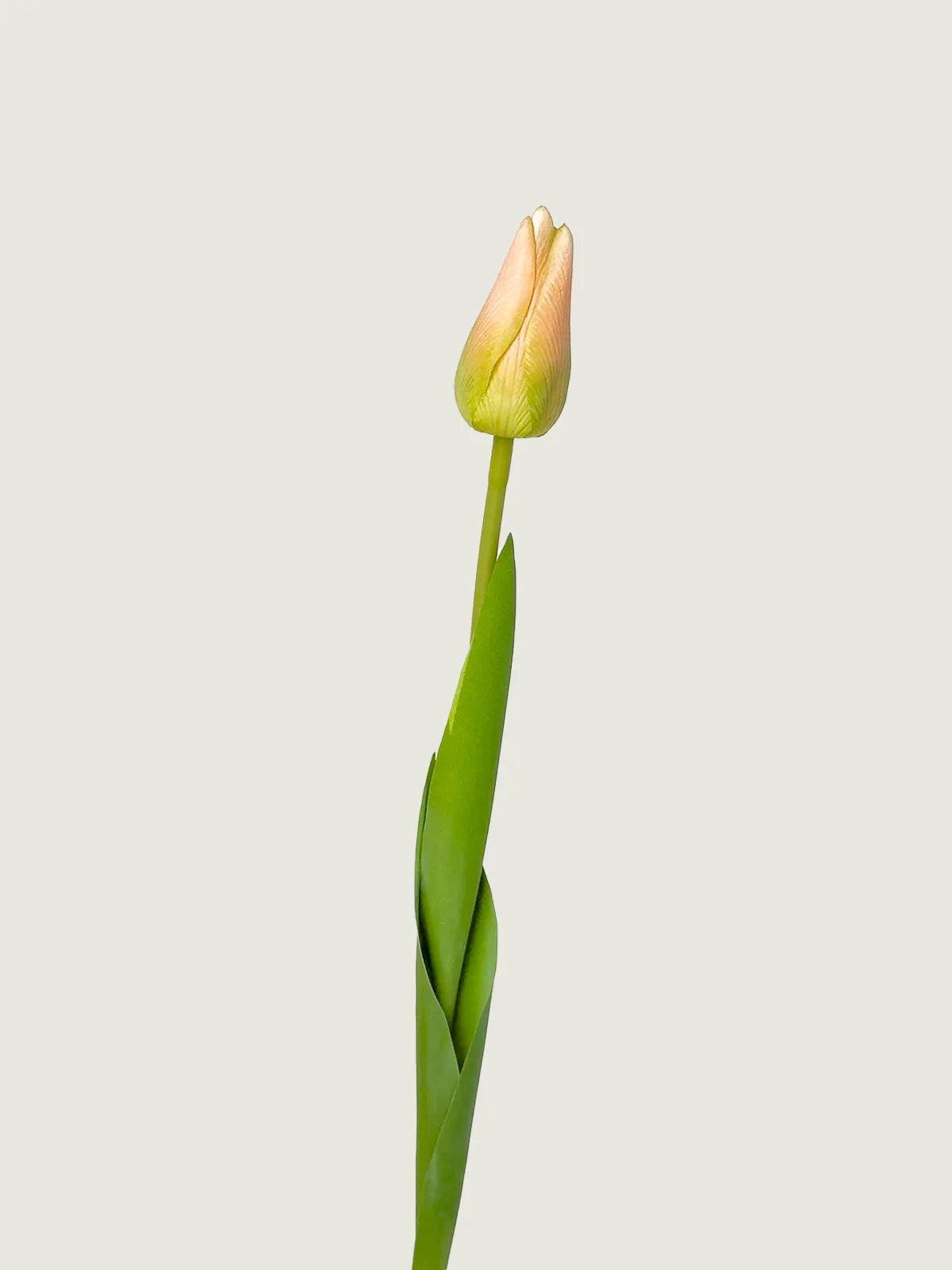 Real Touch Faux Dutch Tulip Bundle, Light Pink