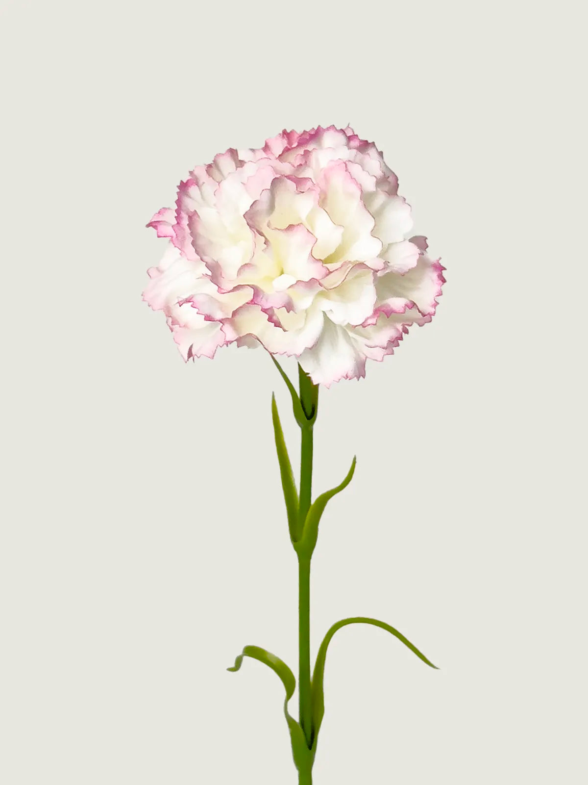 Real Touch Moisture-Retaining Faux Carnation, Pink