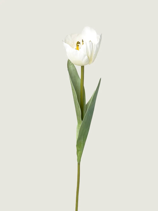 Real Touch Faux Tulip, White