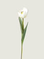 Real Touch Faux Tulip, White
