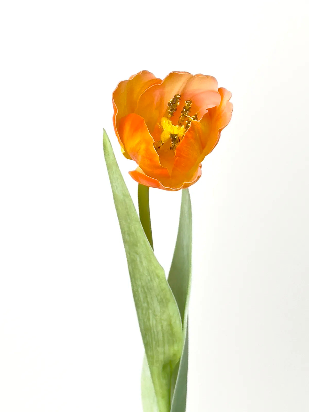 Real Touch Faux Tulip, Tangerine