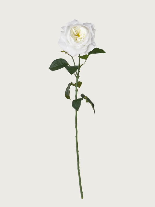 Real Touch Faux Juliet Rose, White