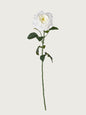 Real Touch Faux Juliet Rose, White
