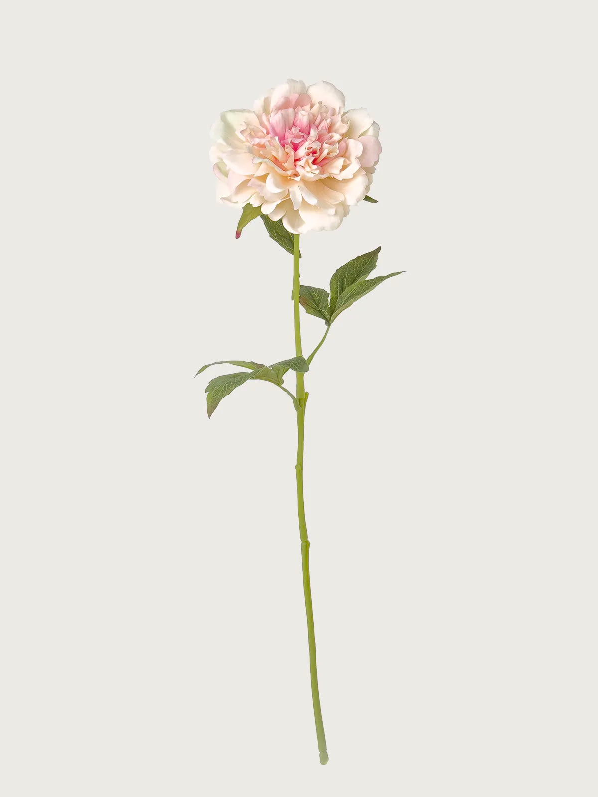 Real Touch Faux Peony, Blush Pink