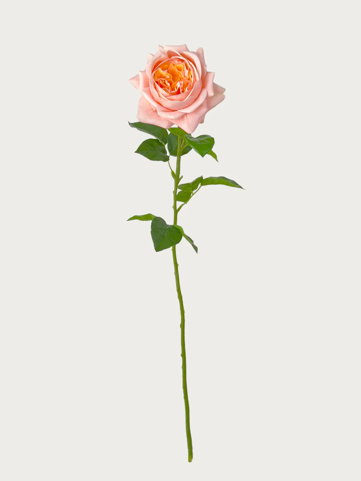 Real Touch Faux Juliet Rose, Blush Pink