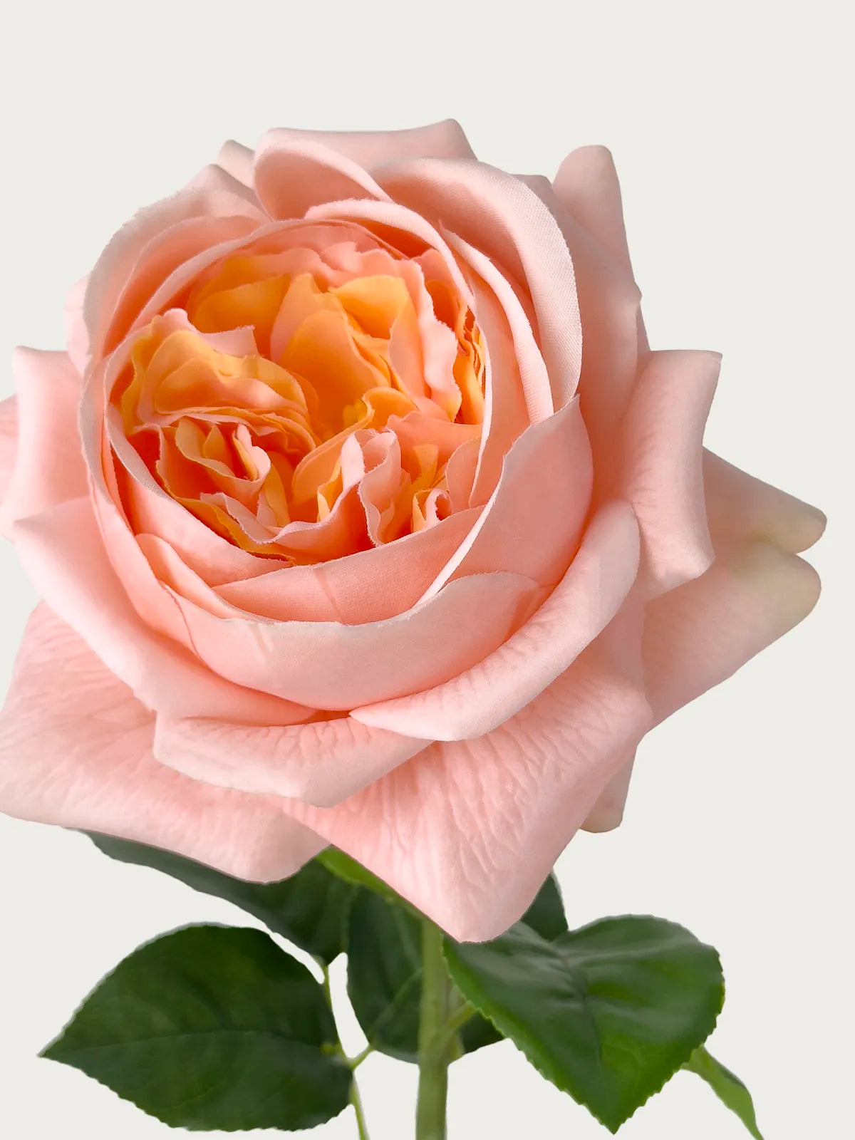 Real Touch Faux Juliet Rose, Blush Pink