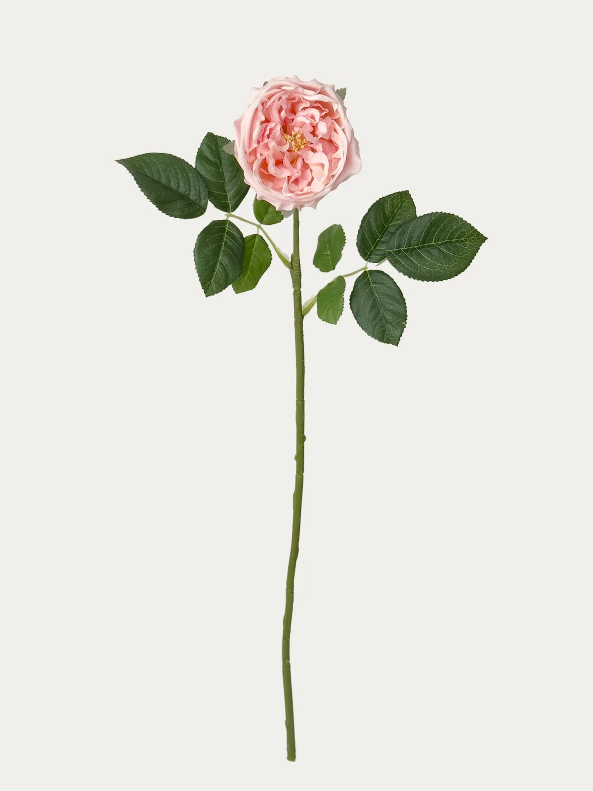 Real Touch Faux Austin Rose, Blush Pink