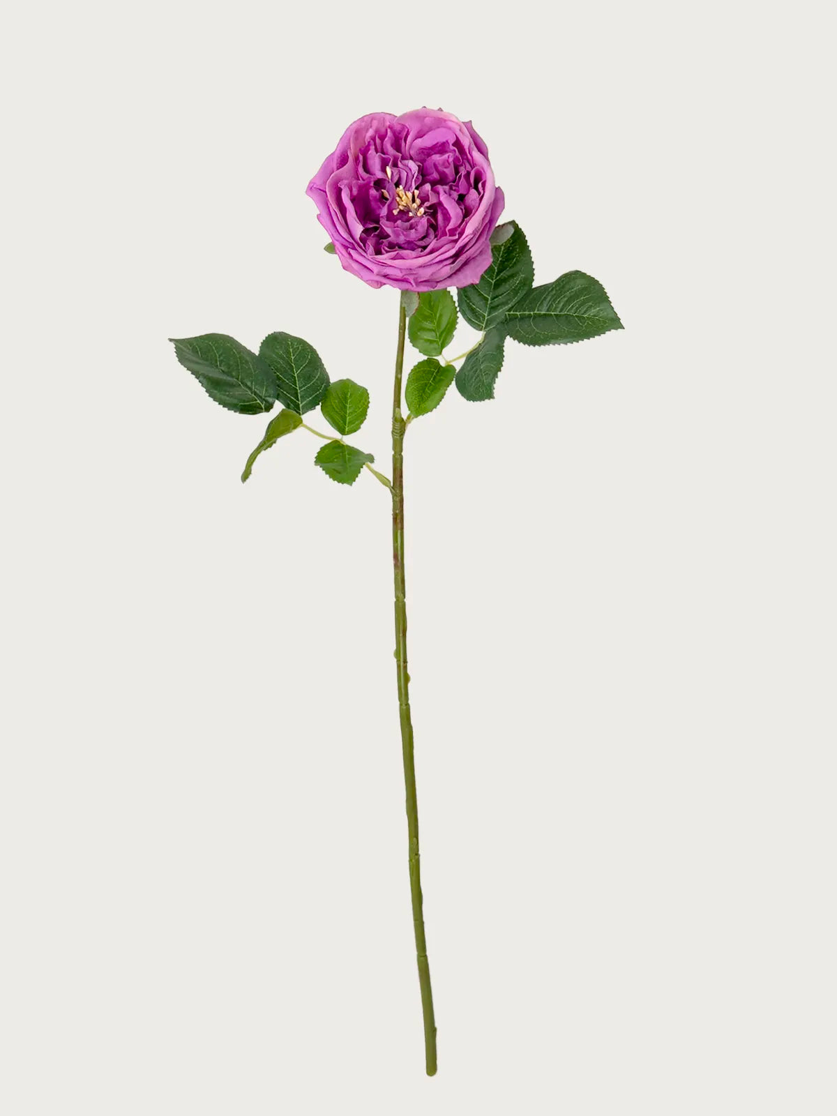 Real Touch Faux Austin Rose, Deep Purple