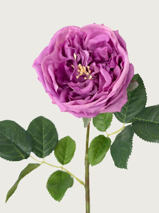 Real Touch Faux Austin Rose, Deep Purple