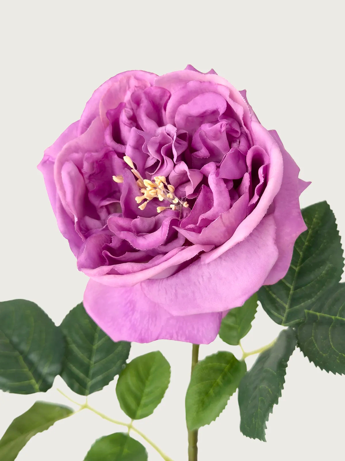Real Touch Faux Austin Rose, Deep Purple