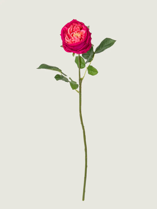 Real Touch Faux Austin Rose, Magenta