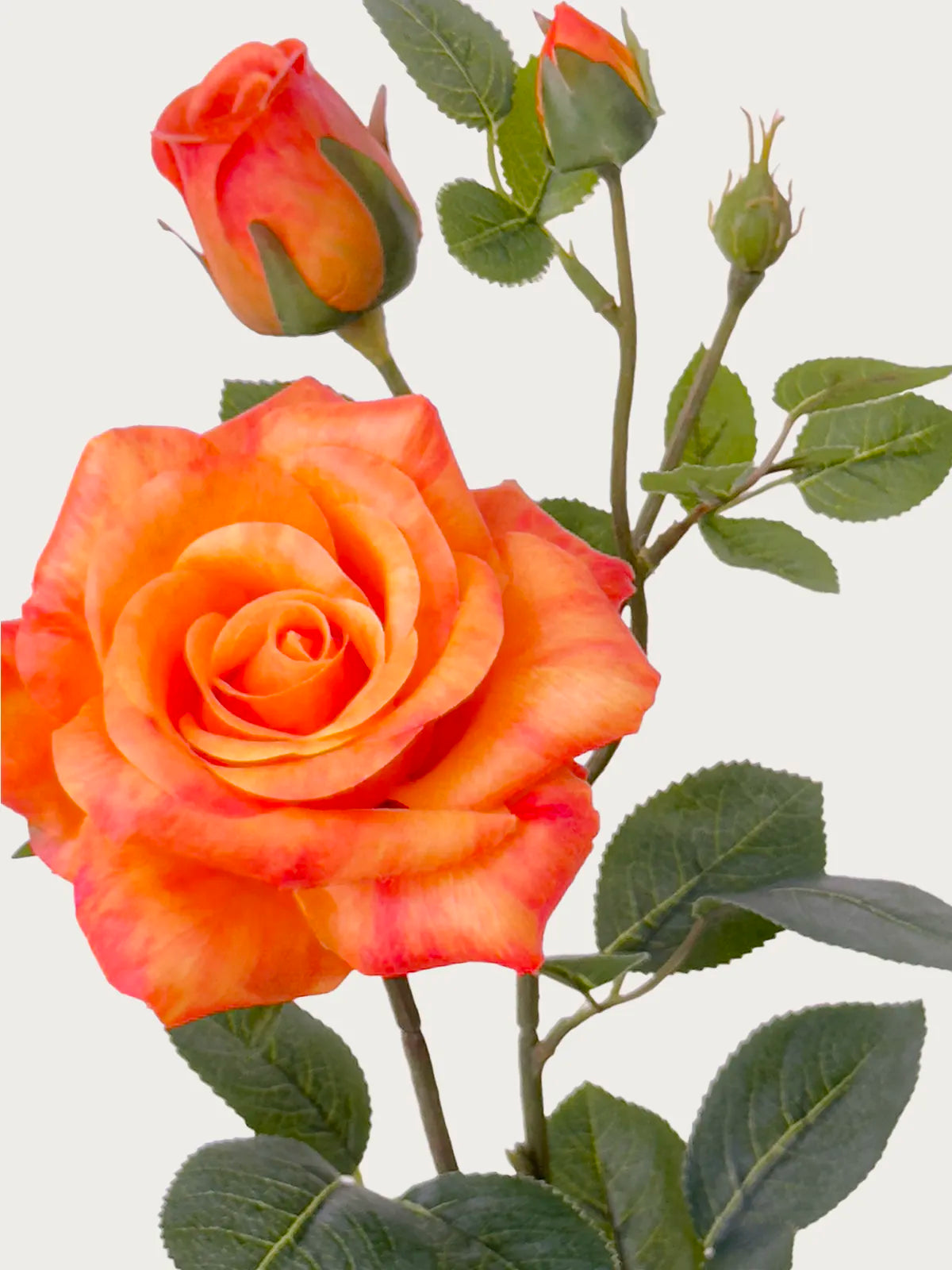 Real Touch Faux Rose, Tangerine Glow