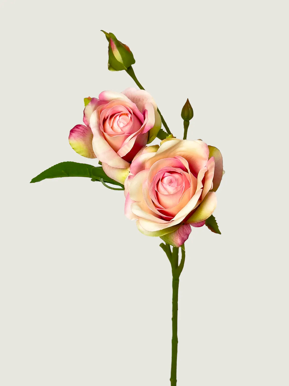 Real Touch Faux Triple Bloom Rose, Blush Pink