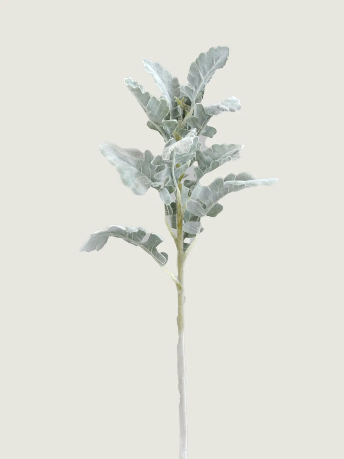 Real Touch Faux Dusty Miller, Velvet White