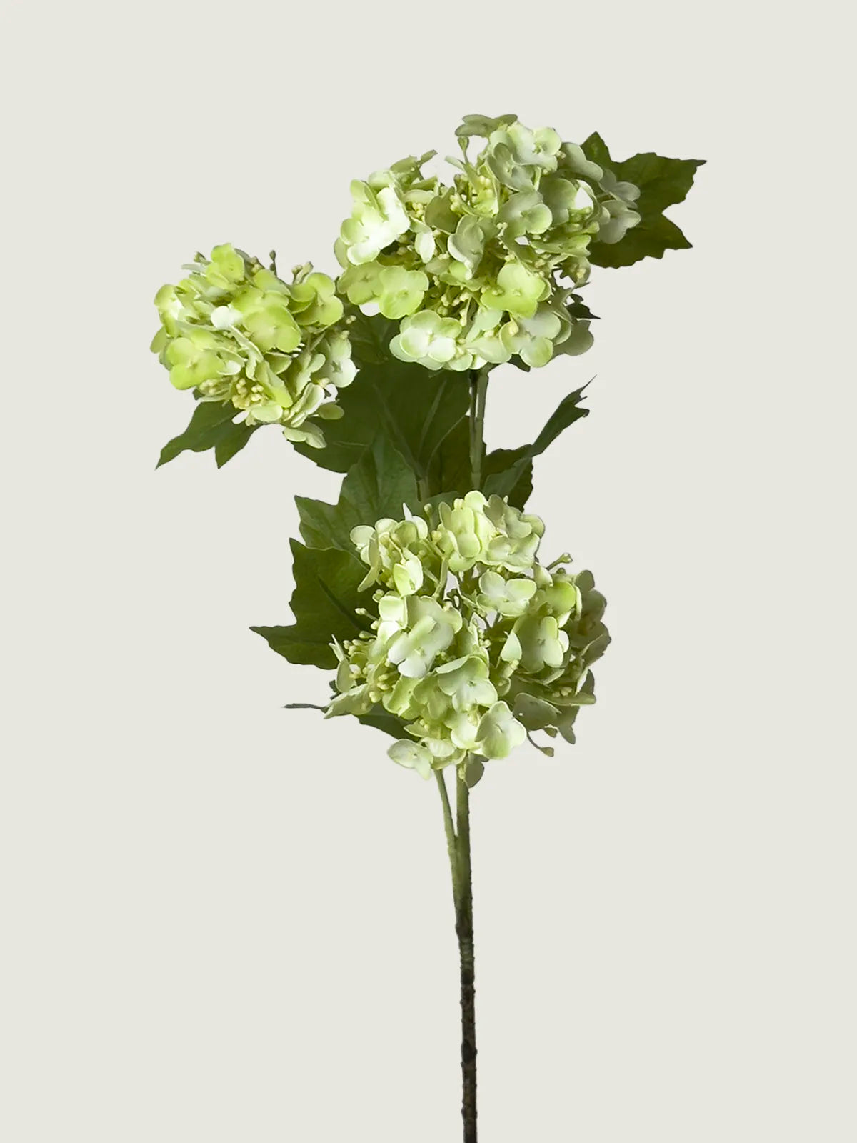 Real Touch Faux Snowball Hydrangea, Light Green