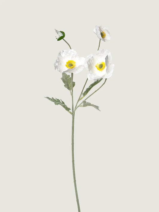Real Touch Faux Poppy, White