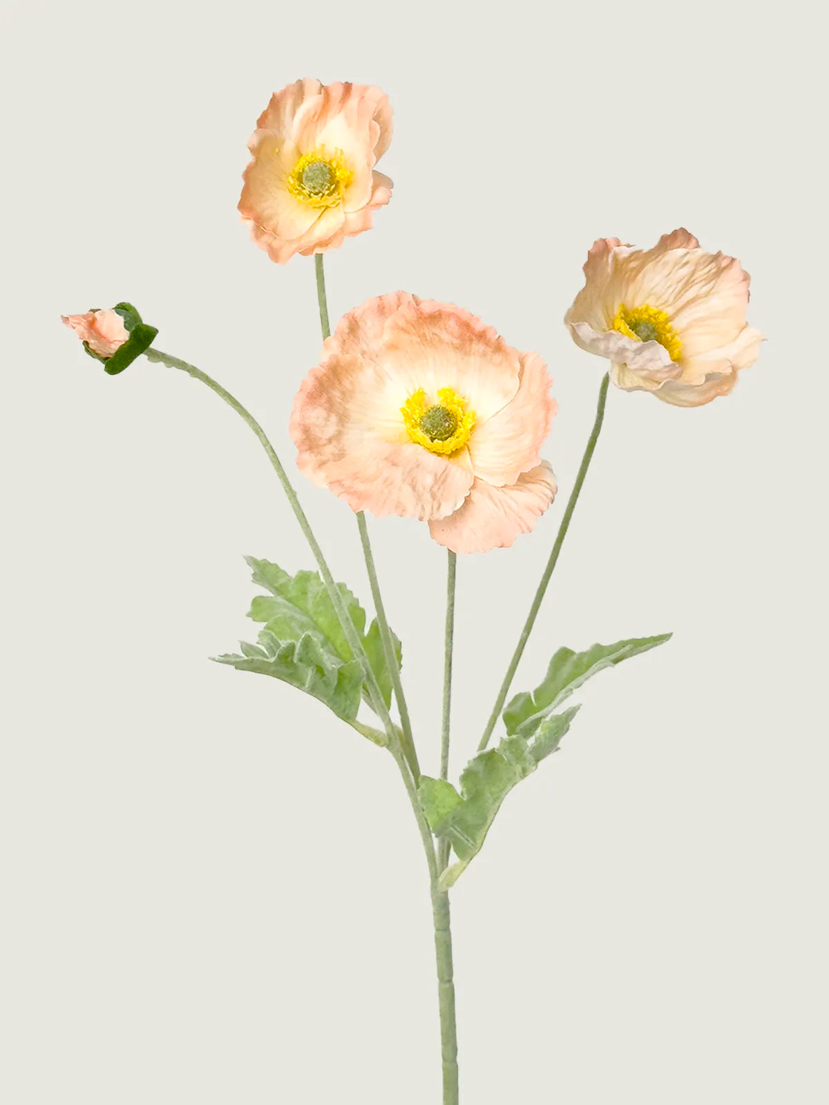 Real Touch Faux Poppy, Champagne
