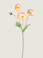 Real Touch Faux Poppy, Champagne