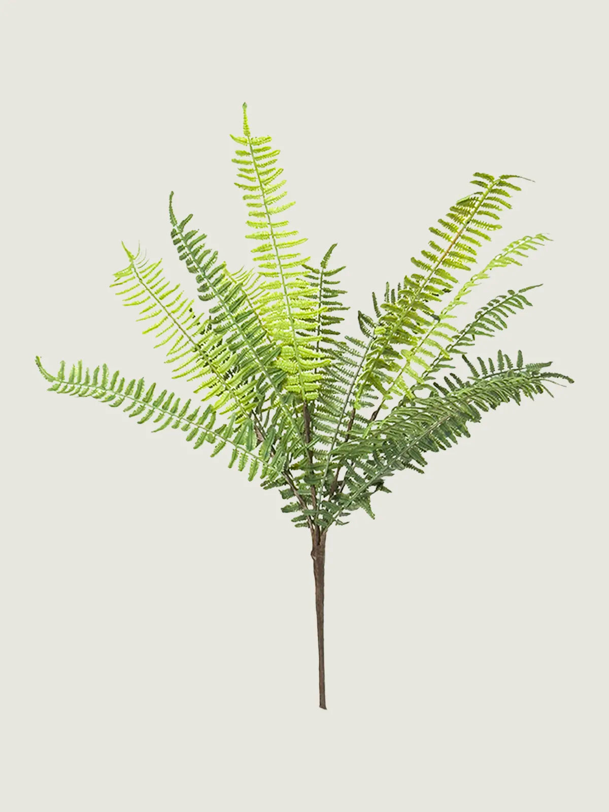 Faux Golden Star Fern Bundle, Green