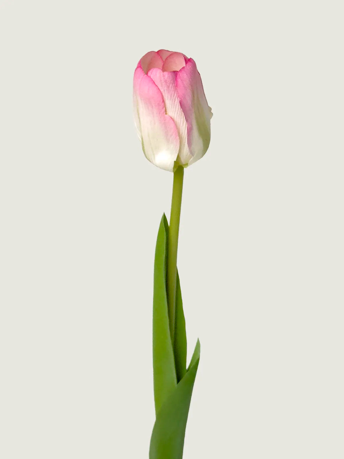 Real Touch Faux Dutch Tulip Bundle, Light Pink