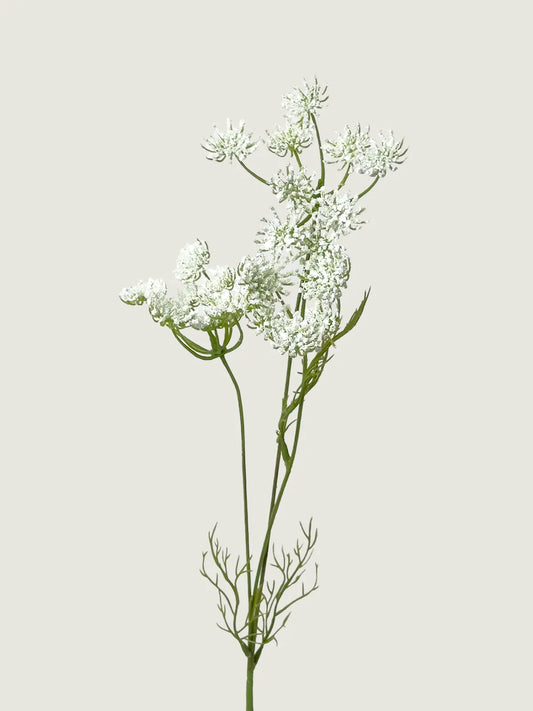 Faux Queen Anne’s Lace, White