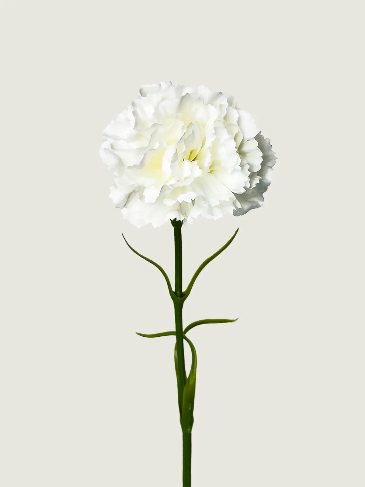Real Touch Moisture-Retaining Faux Carnation, White