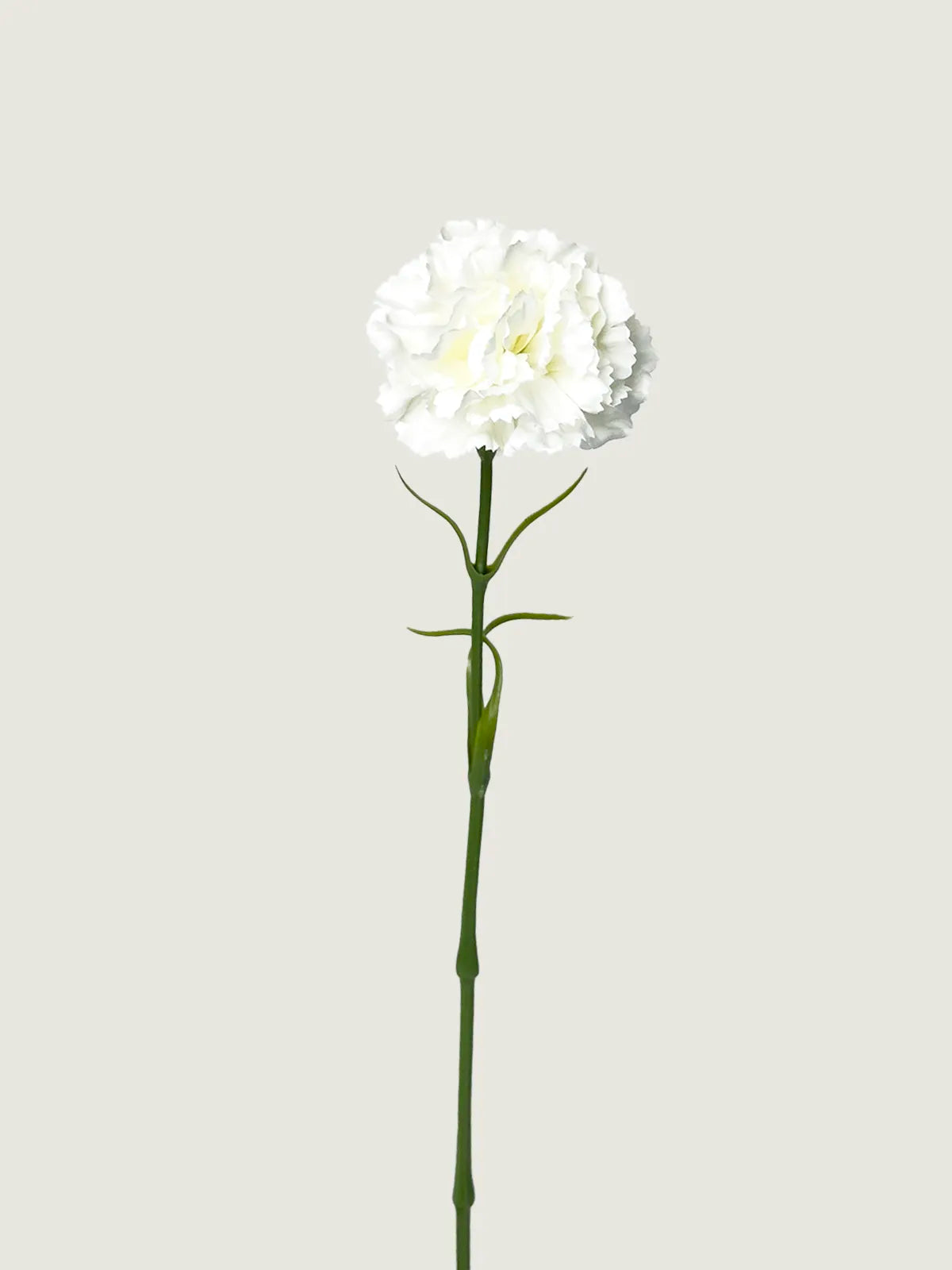 Real Touch Moisture-Retaining Faux Carnation, White