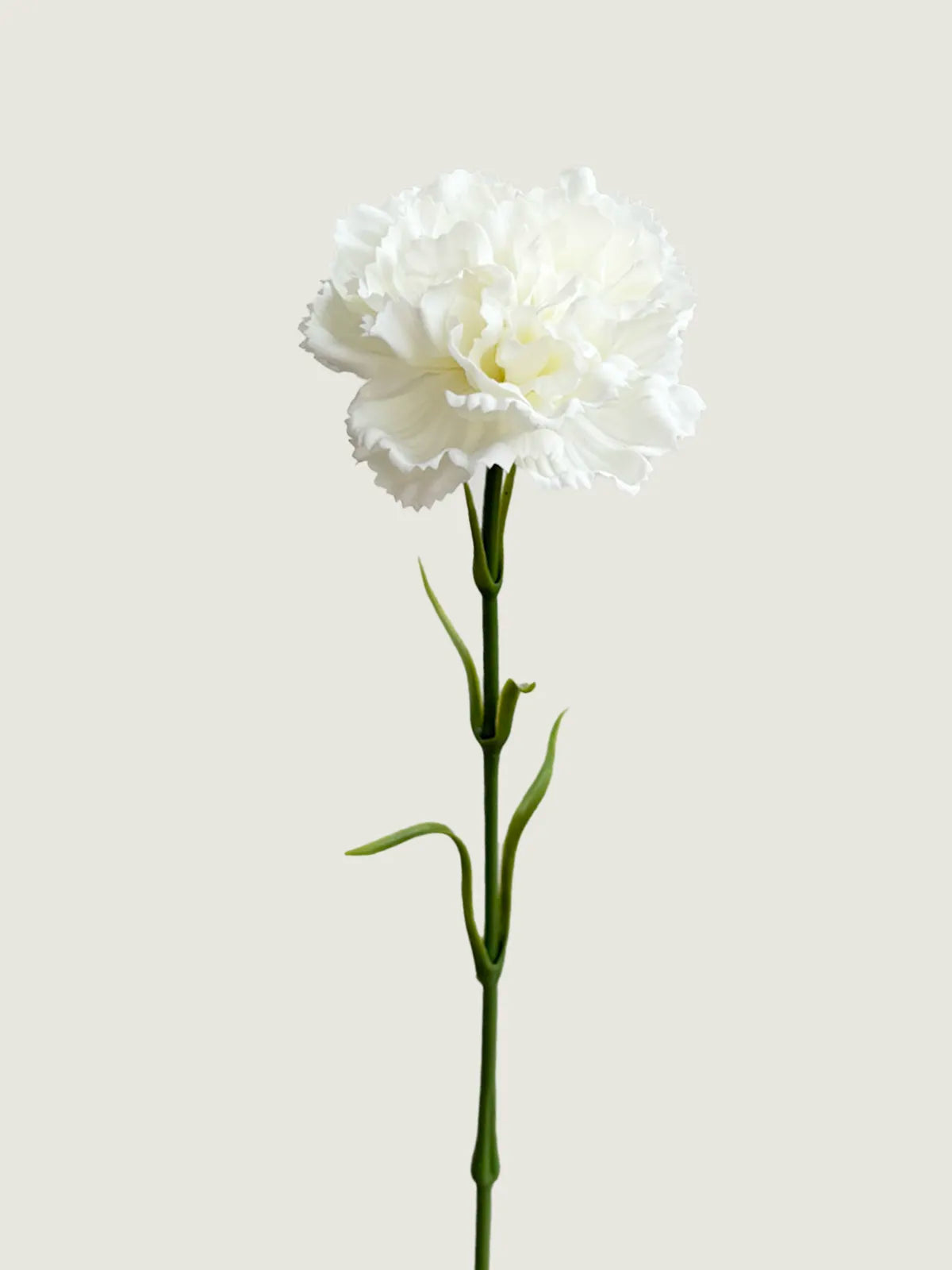Real Touch Moisture-Retaining Faux Carnation, White