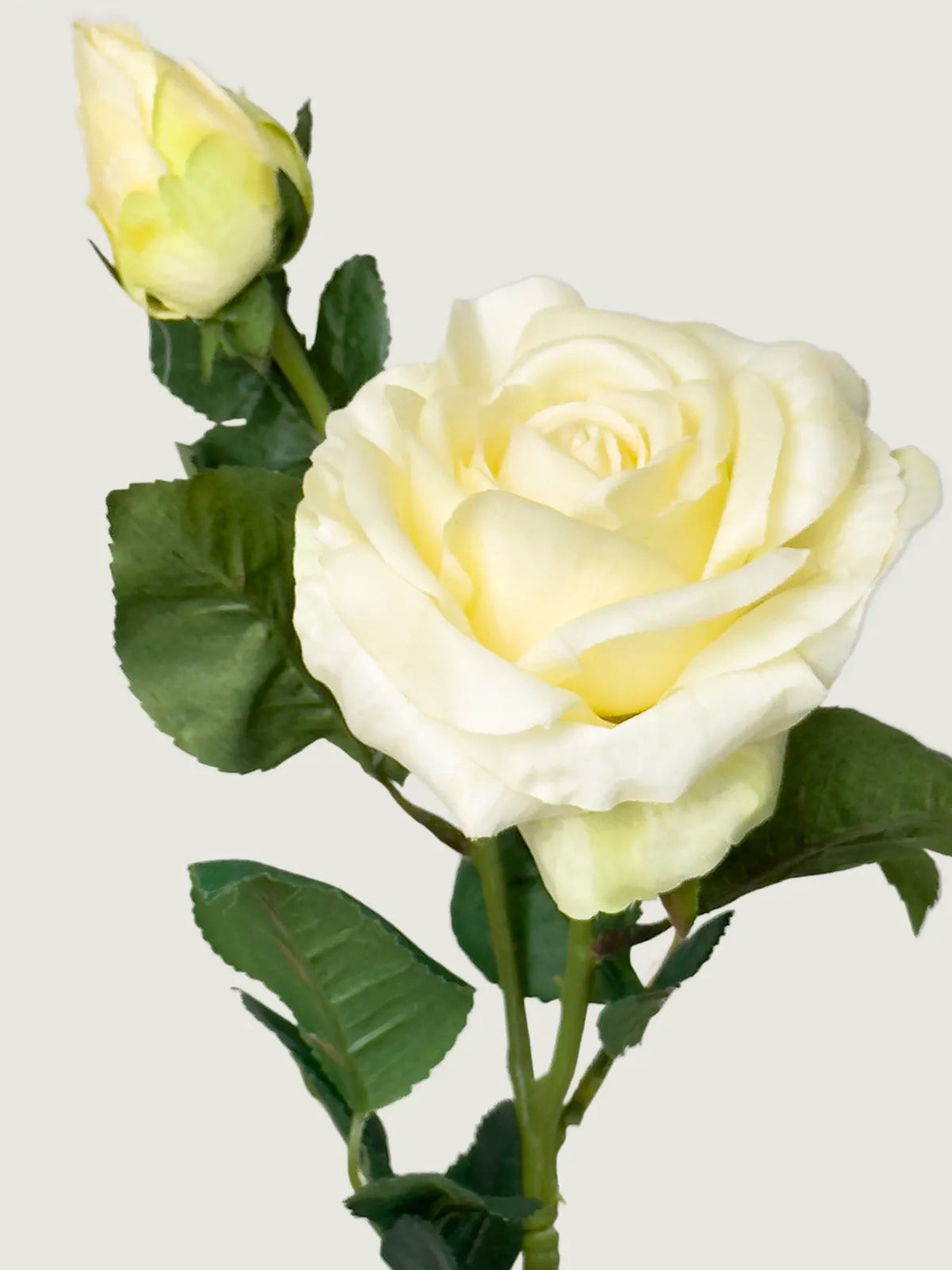 Real Touch Faux Rose, White