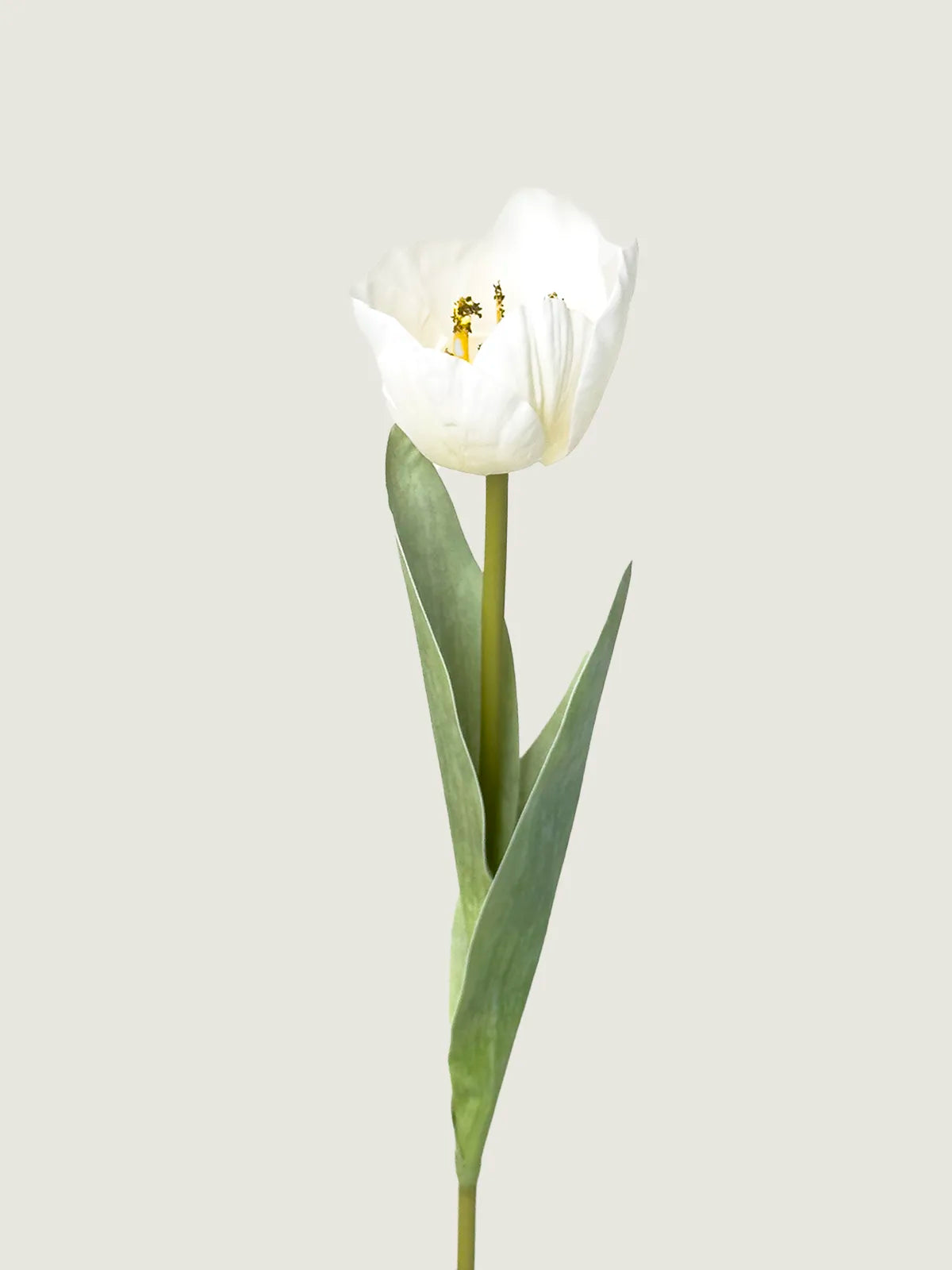 Real Touch Faux Tulip, White