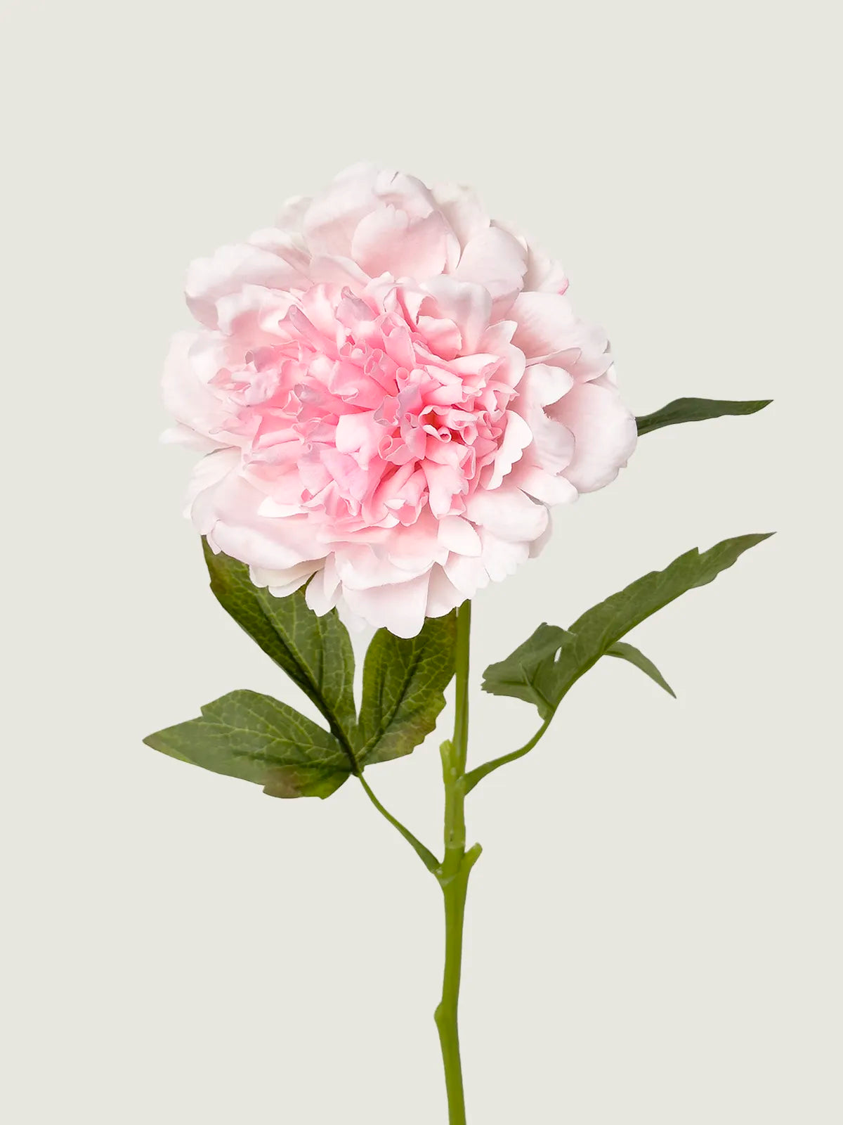 Real Touch Faux Peony, Peach Pink