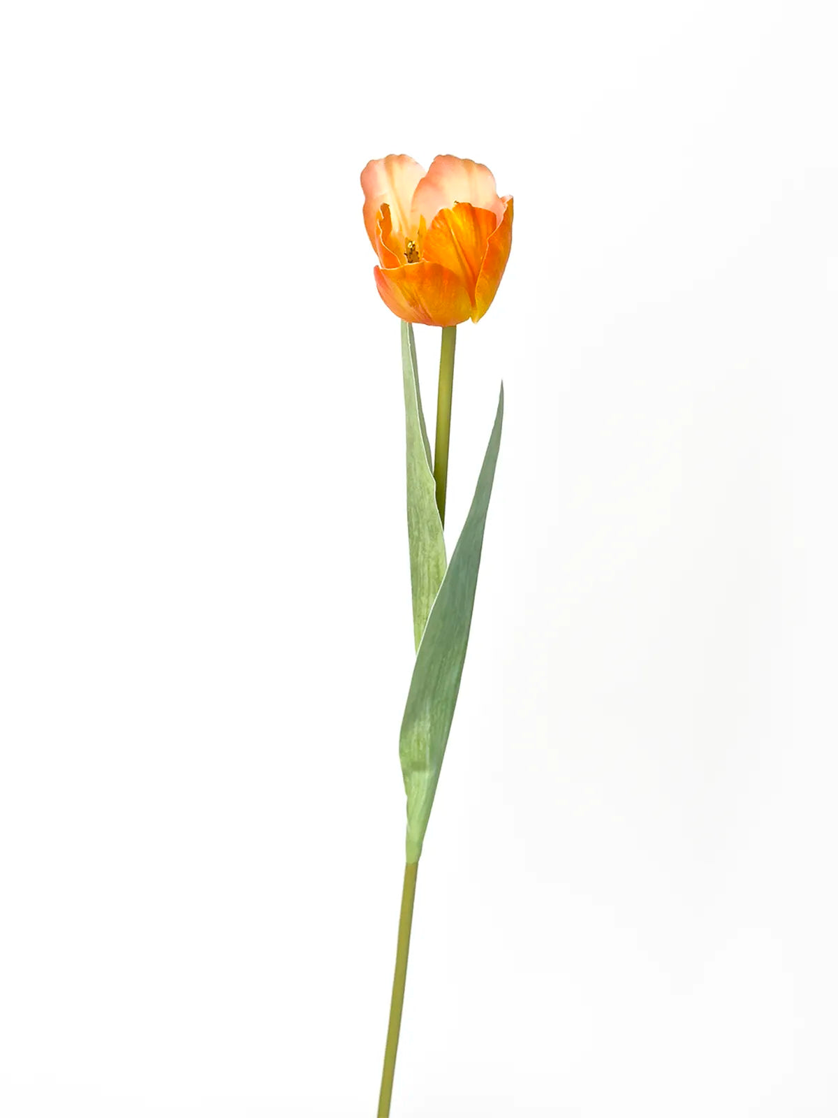 Real Touch Faux Tulip, Tangerine