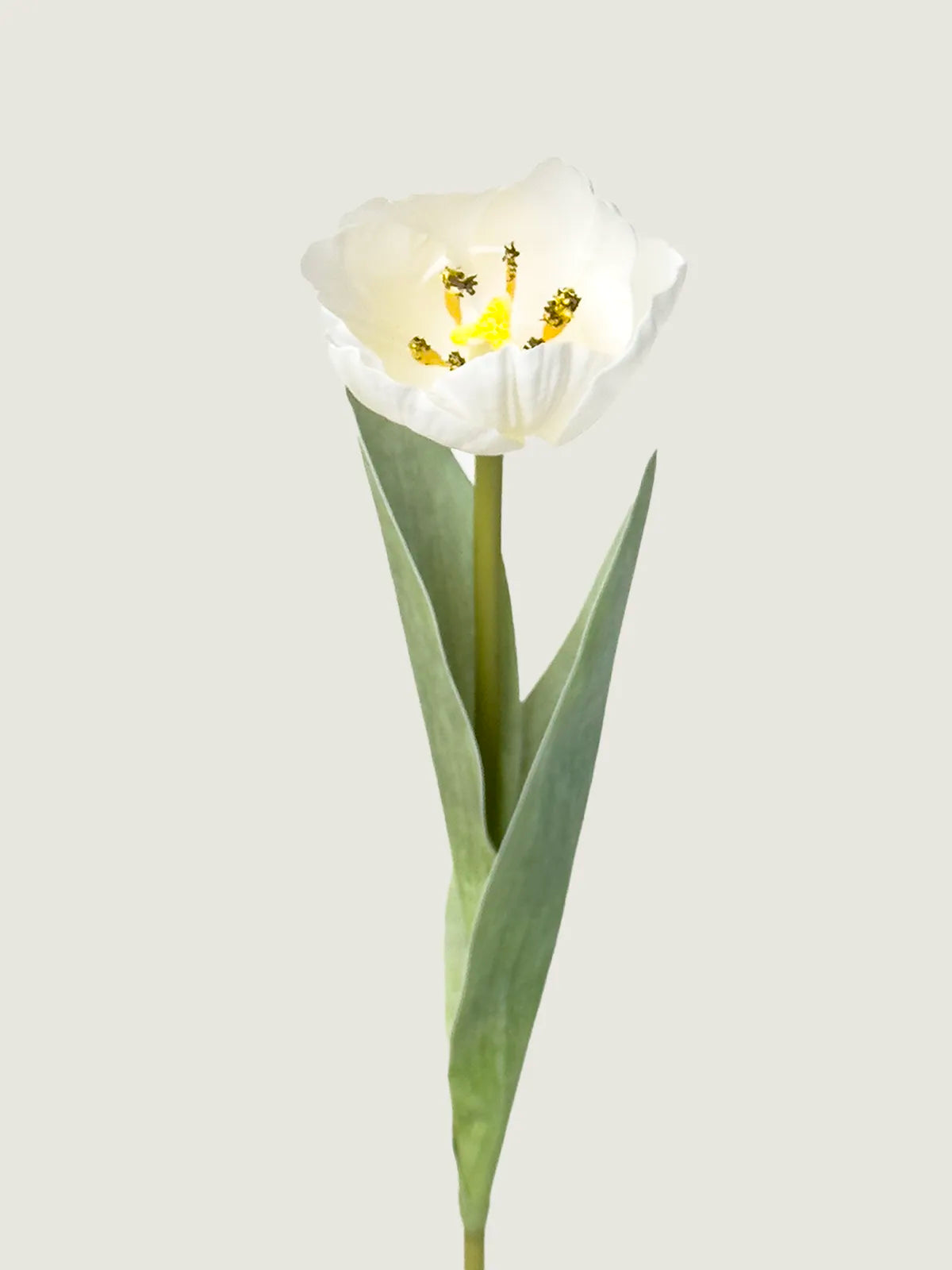 Real Touch Faux Tulip, White