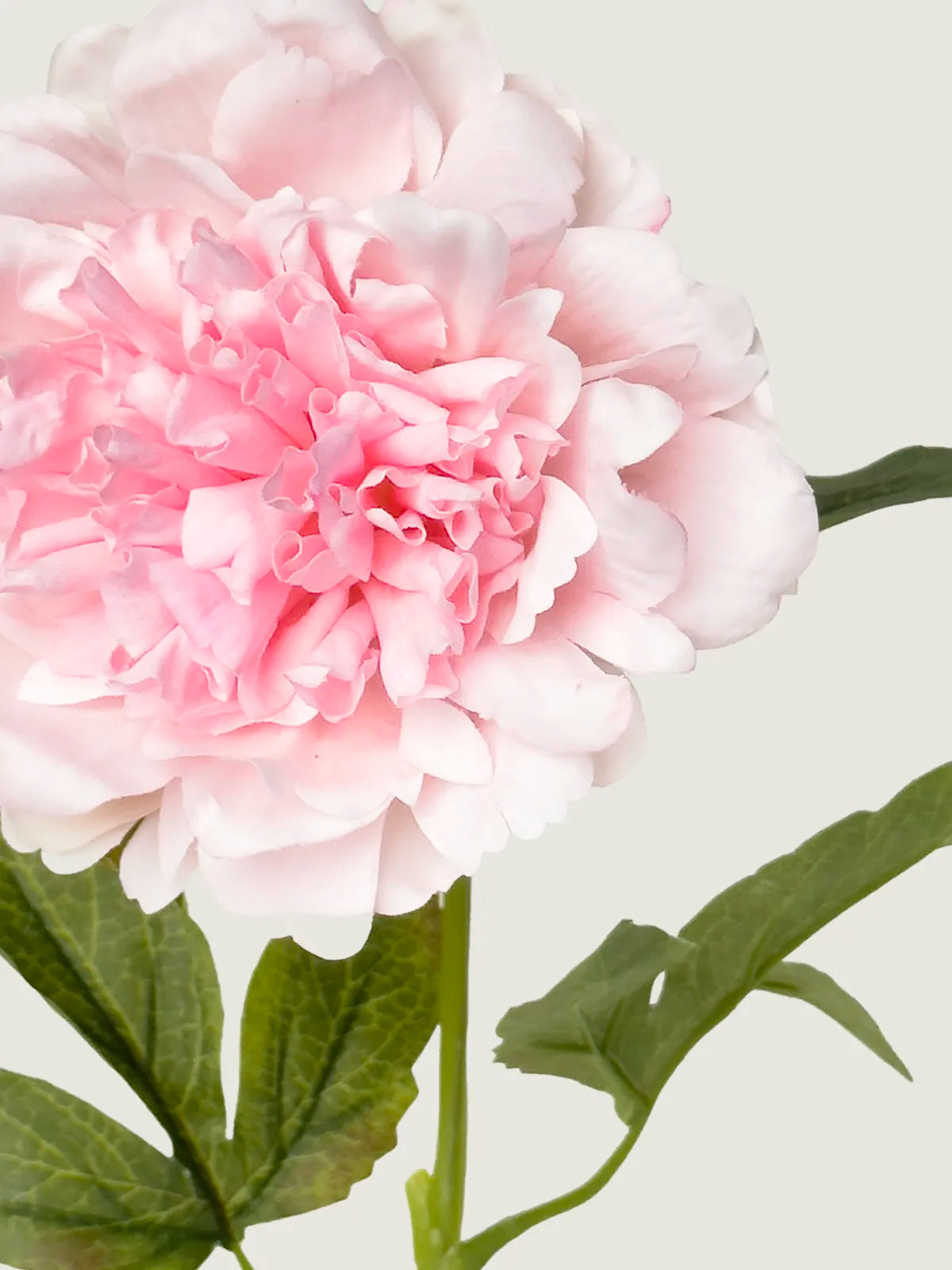 Real Touch Faux Peony, Peach Pink