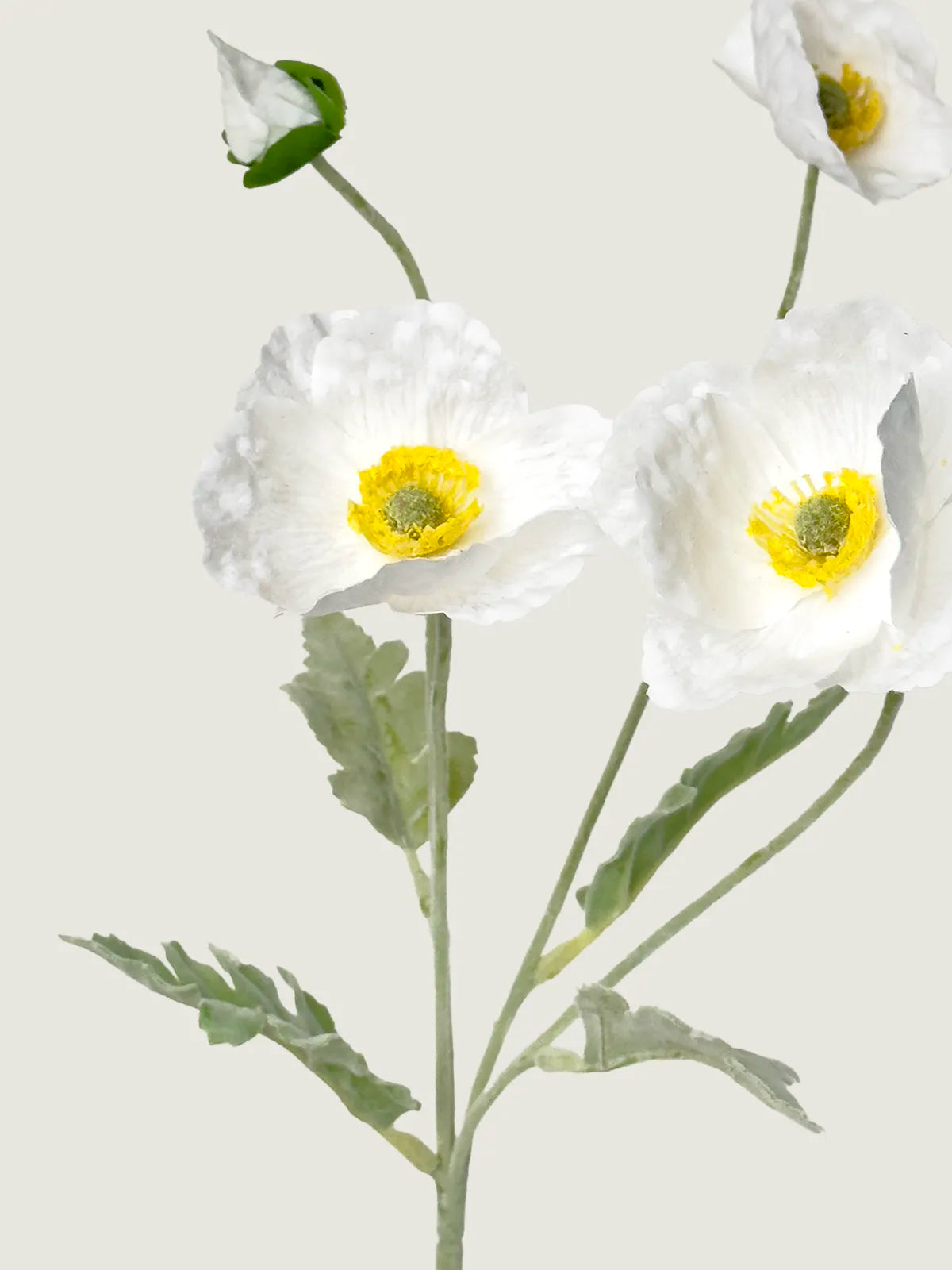 Real Touch Faux Poppy, White